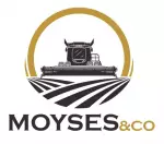 Moyses & Co